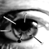 1372.gif