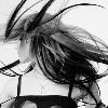 1633.gif